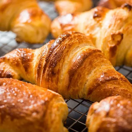 Отель Caravelle 2*